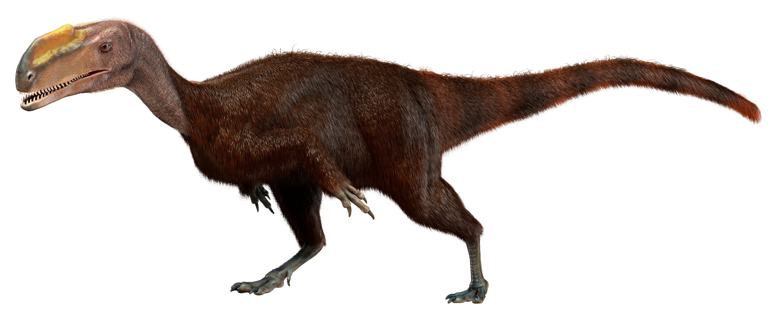 Kileskus