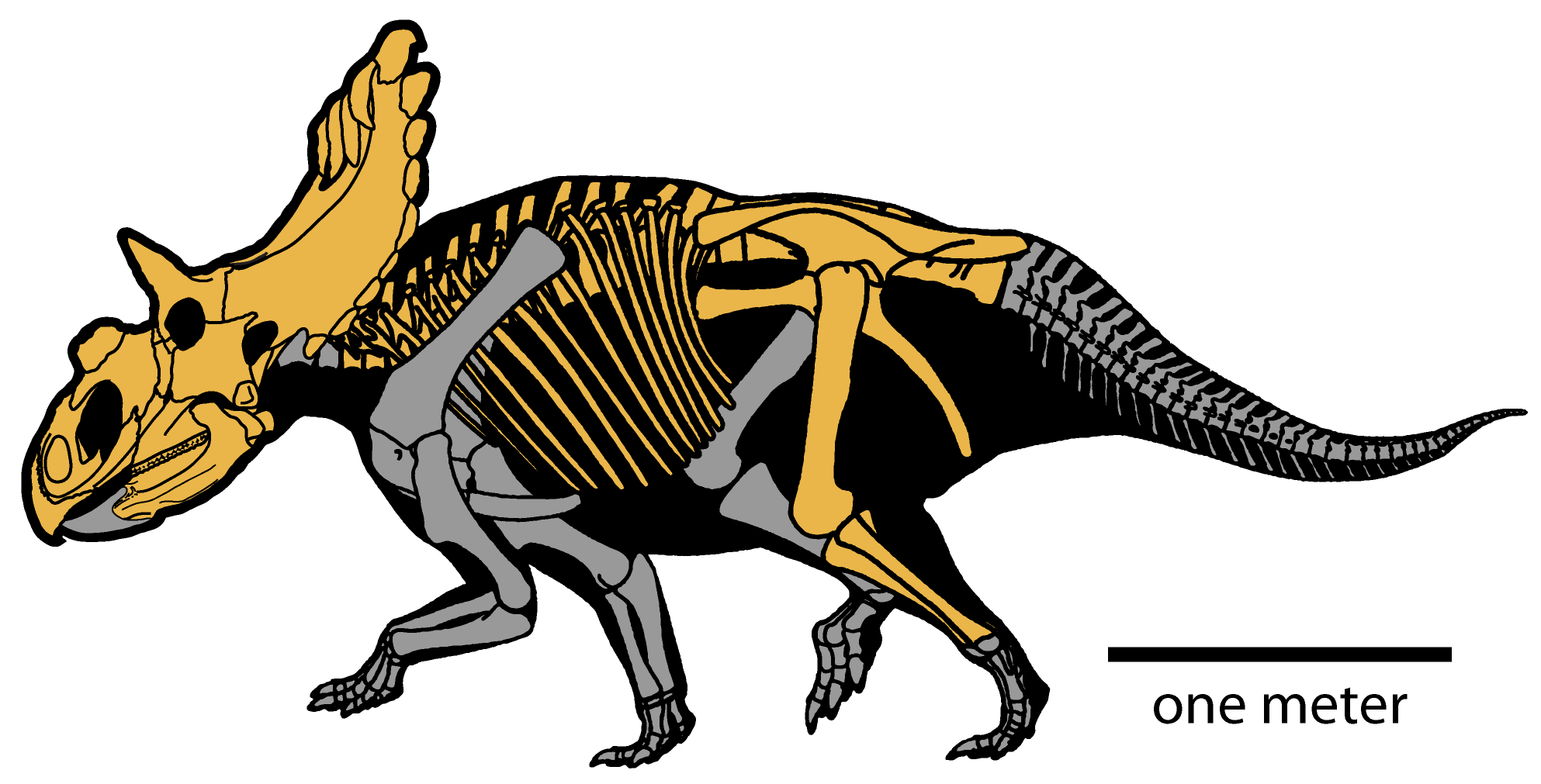 Kosmoceratops