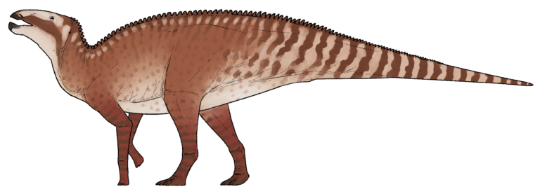 Kryptohadros