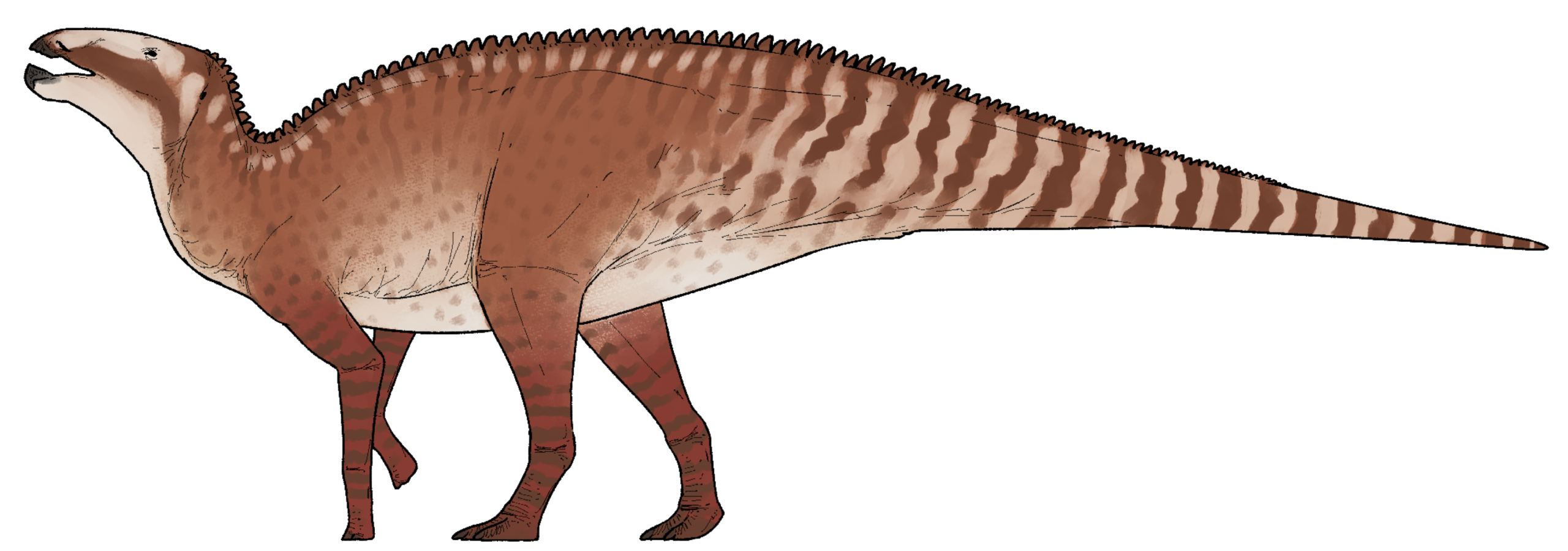 Kryptohadros