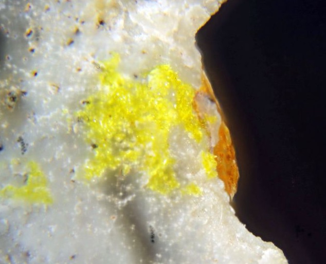 Larisait