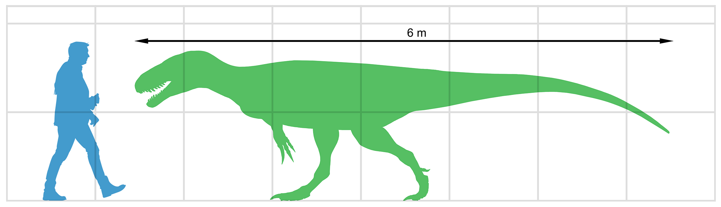 Leshansaurus