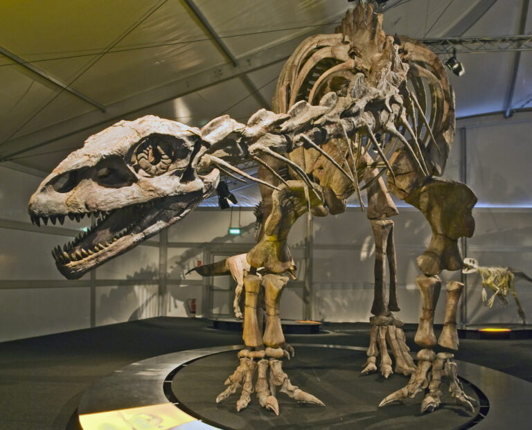 Lessemsaurus