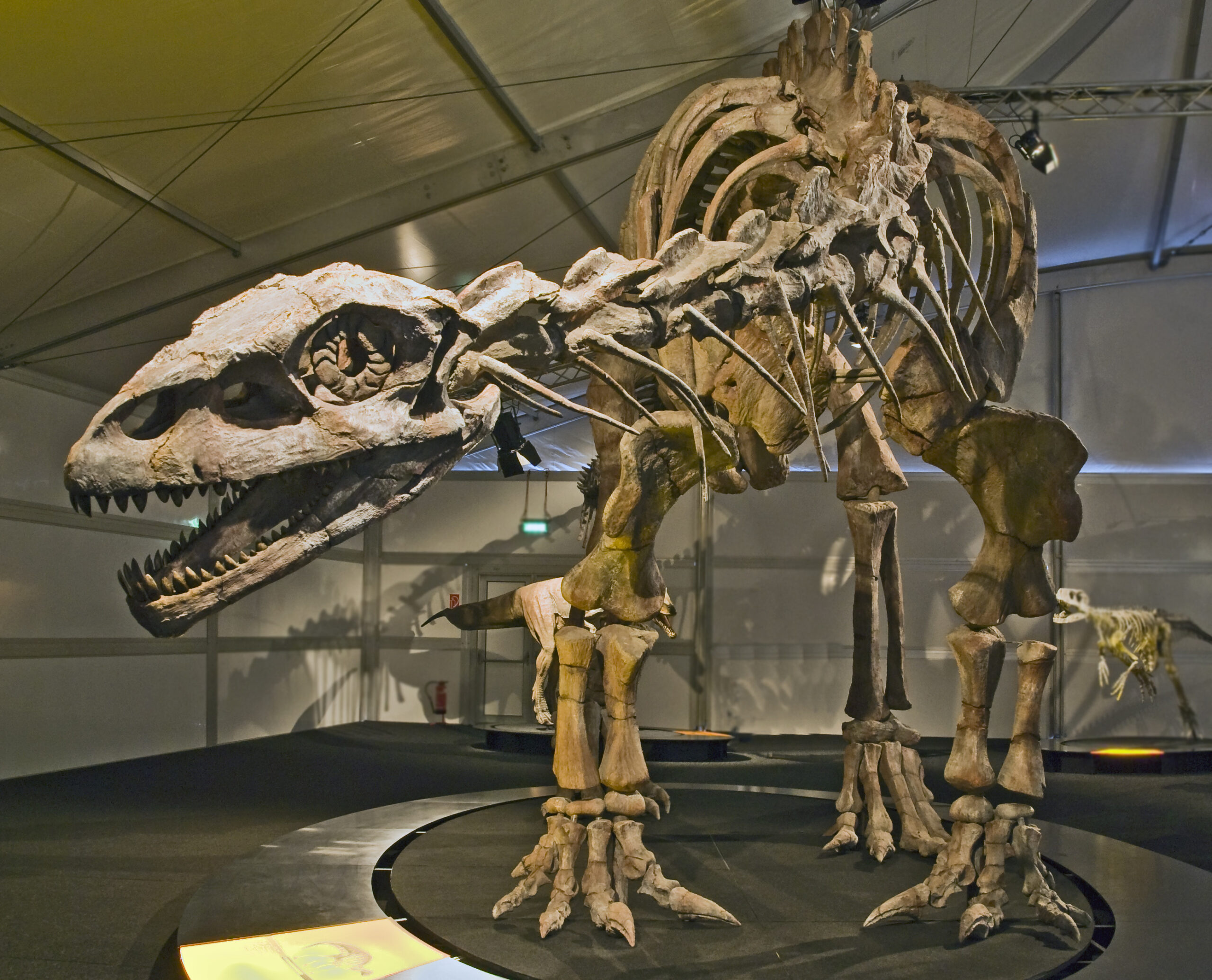 Lessemsaurus