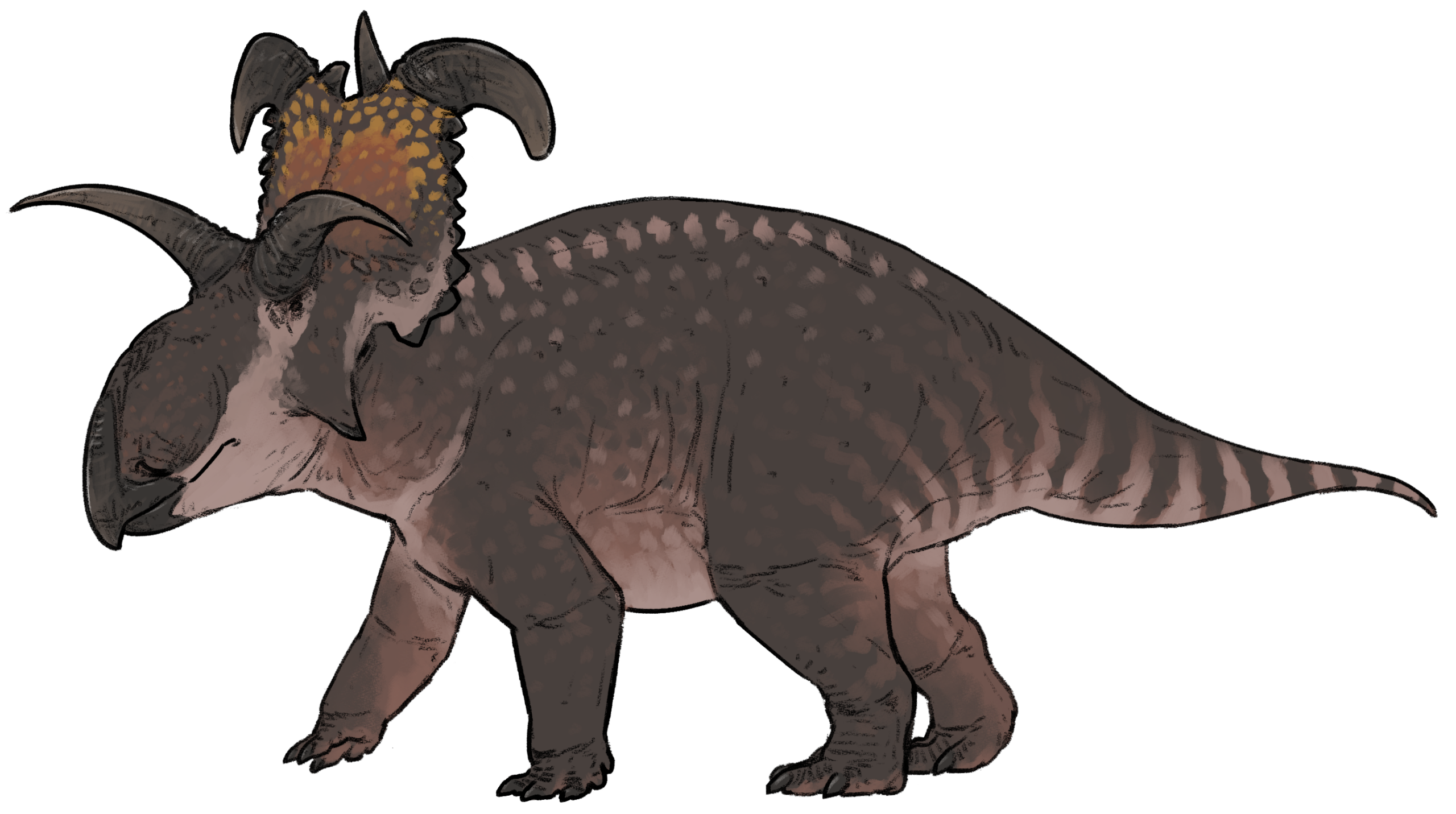 Lokiceratops