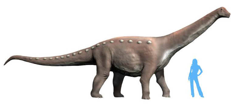 Mansourasaurus