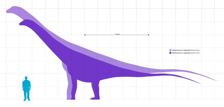 Mendozasaurus