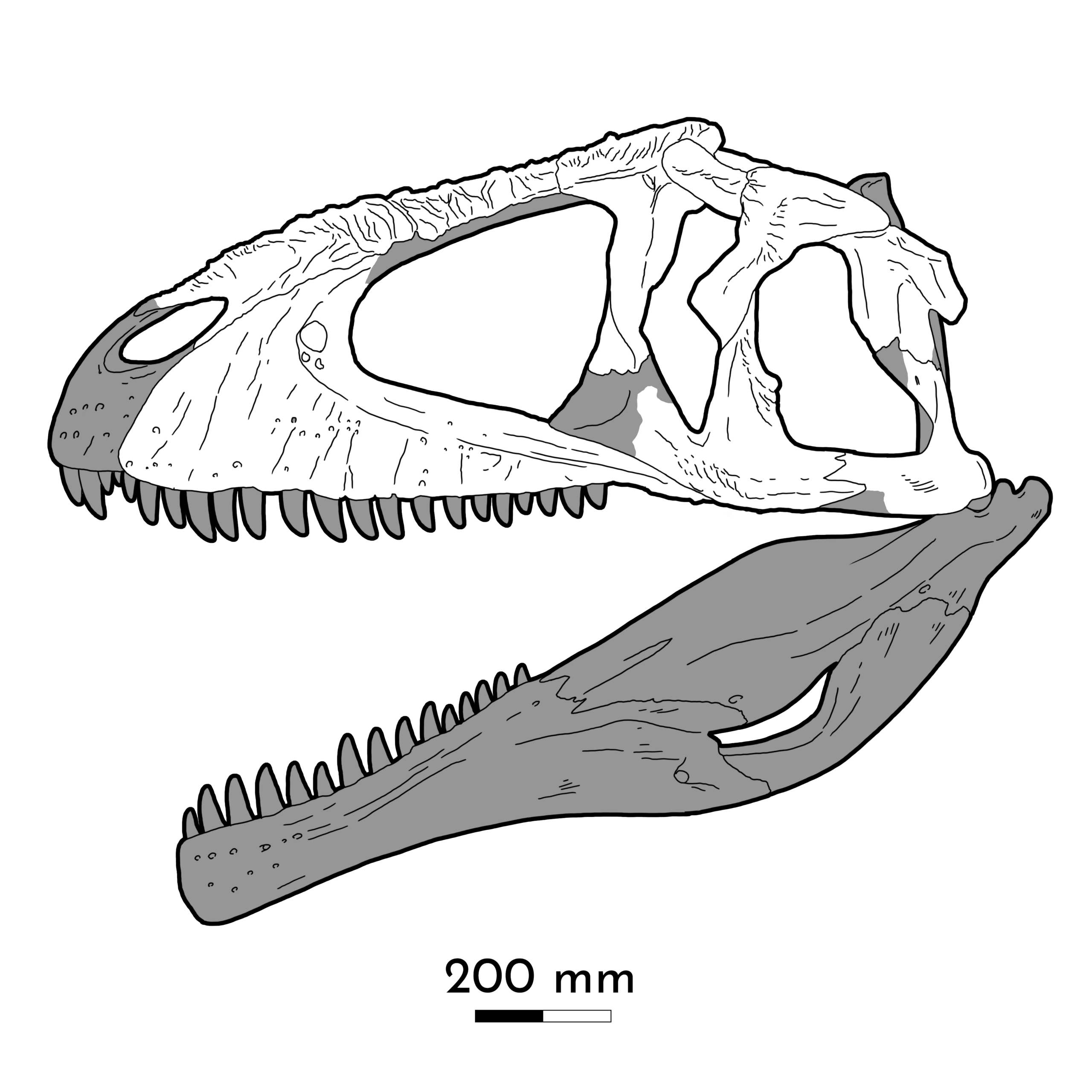 Meraxes
