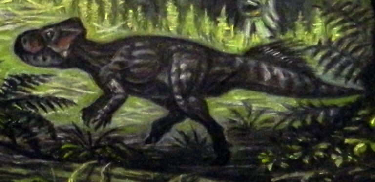 Microceratus