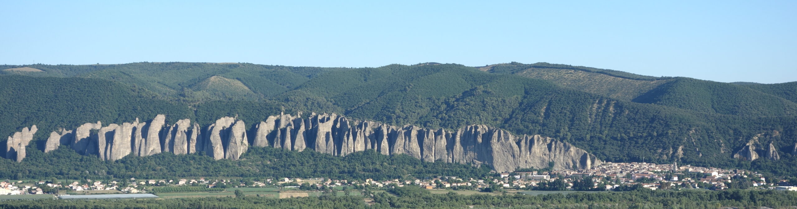 Molasa