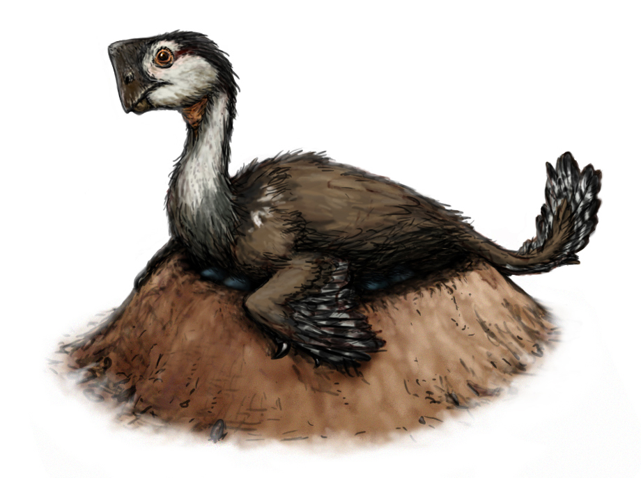 Nemegtomaia