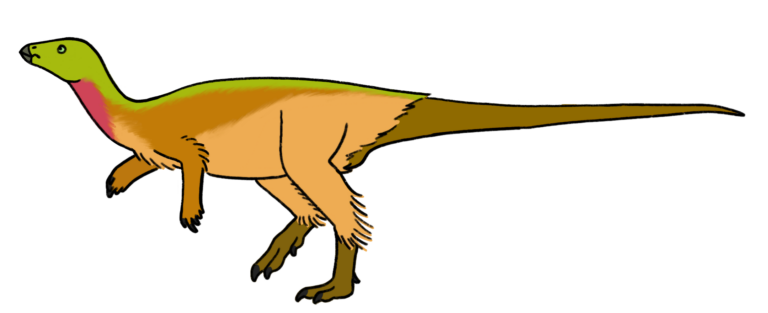 Notohypsilophodon