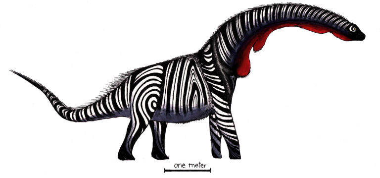 Overosaurus