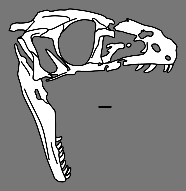 Panguraptor Panguraptor