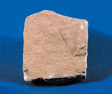 prachovec