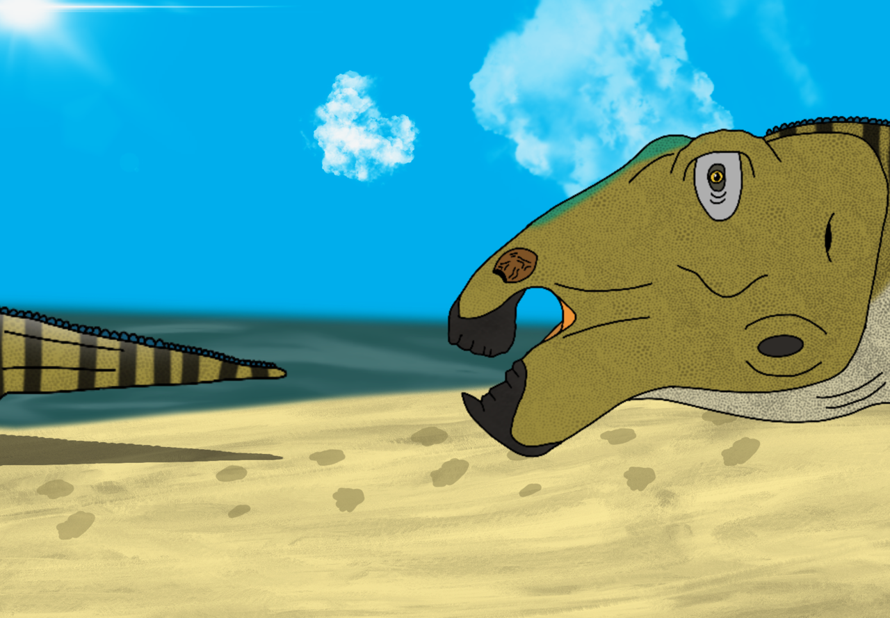 Protohadros