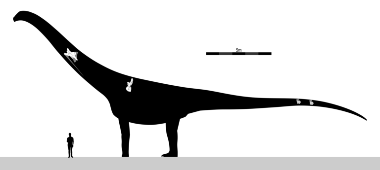 Puertasaurus