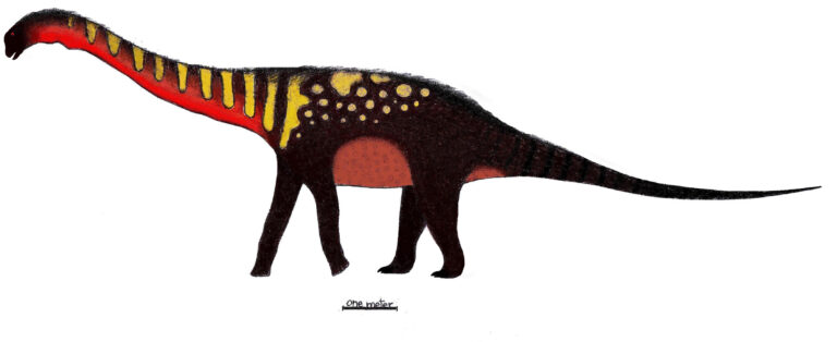 Quetecsaurus