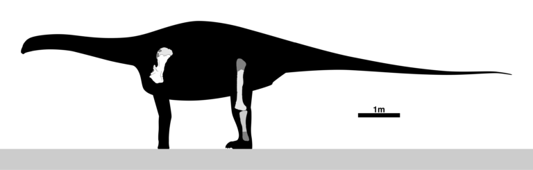 Rayososaurus Rayososaurus