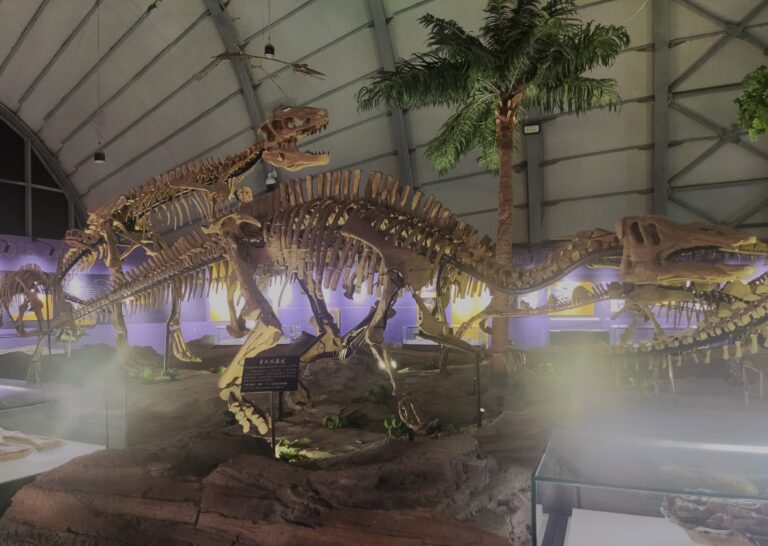 Shuangmiaosaurus