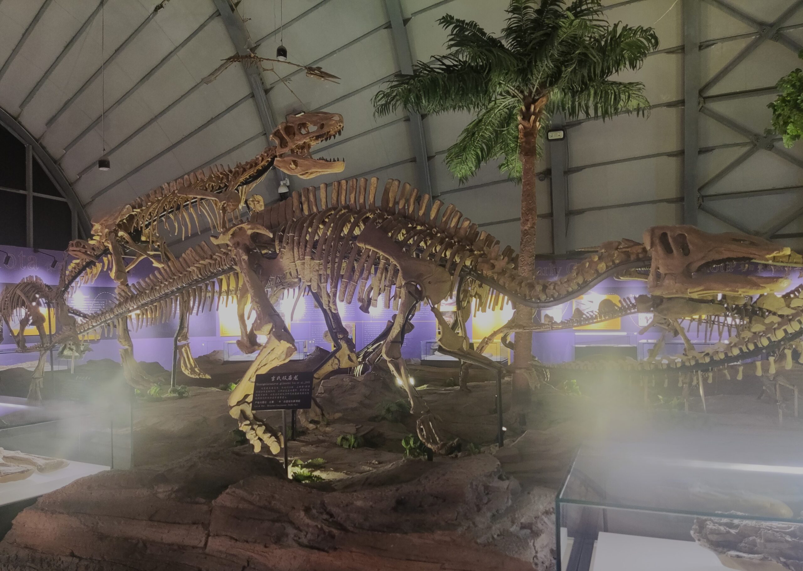 Shuangmiaosaurus