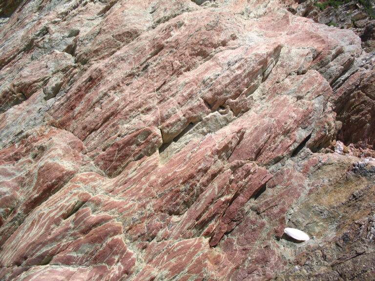 silicit