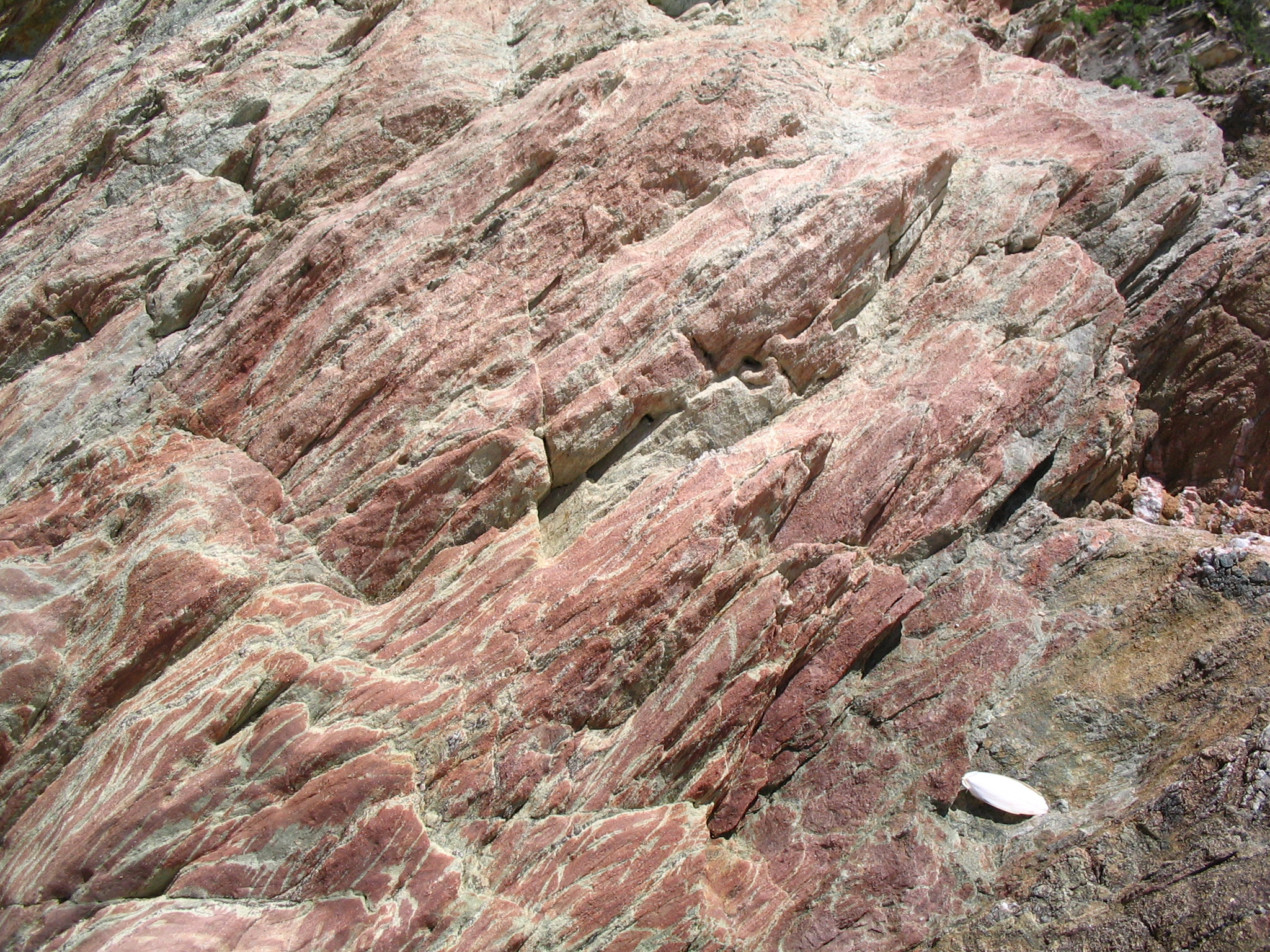 silicit