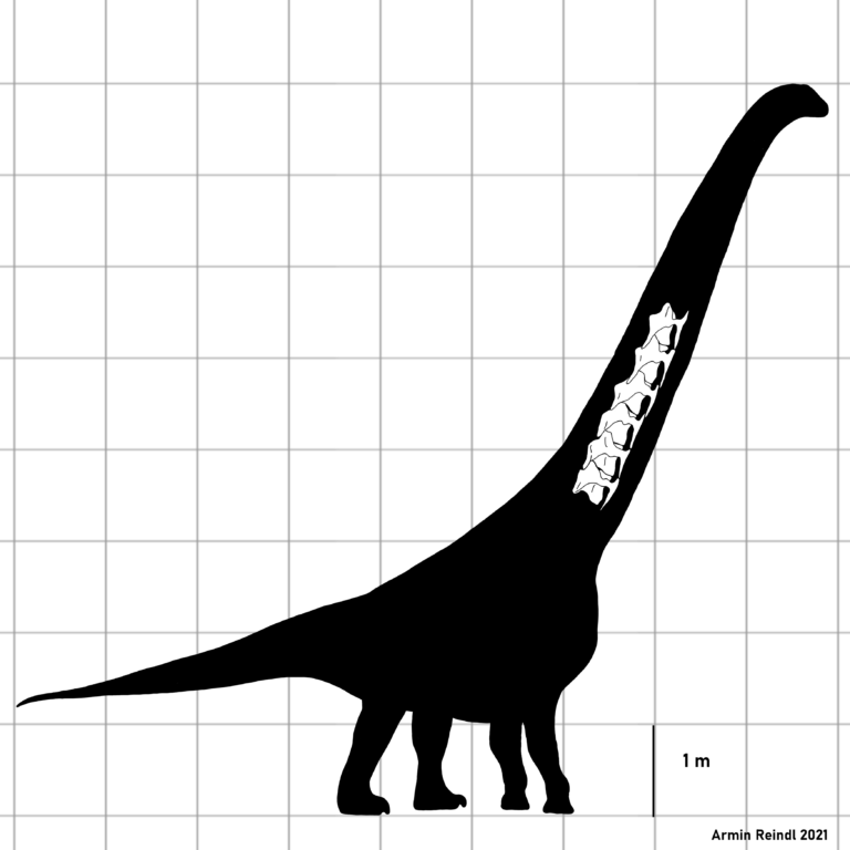 Silutitan