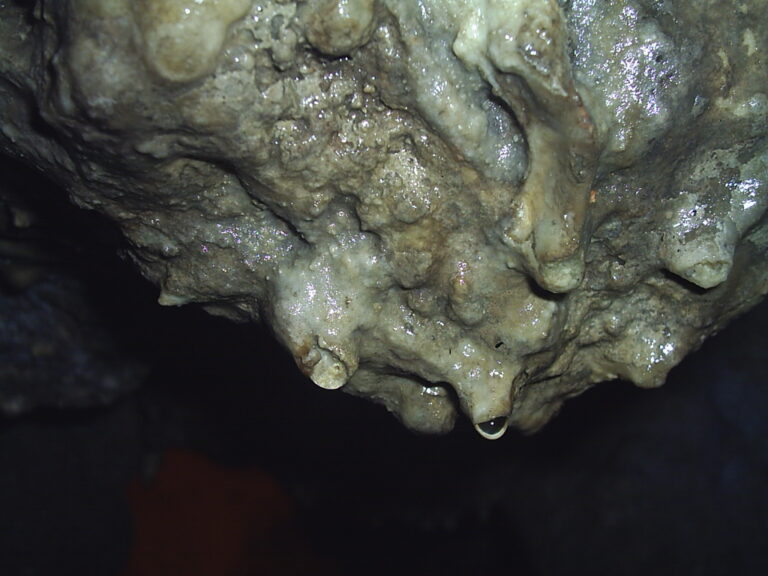 sintr