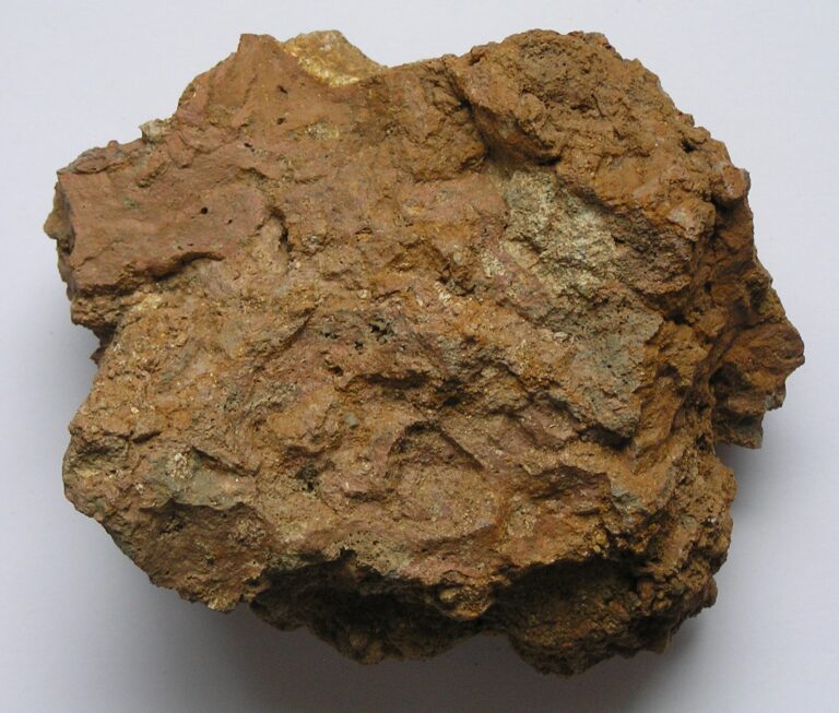 suevit