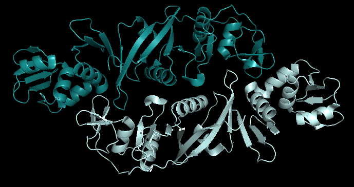 Thermoplasma acidophilum Thermoplasma acidophilum