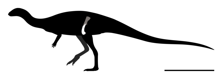 Tietasaura Tietasaura