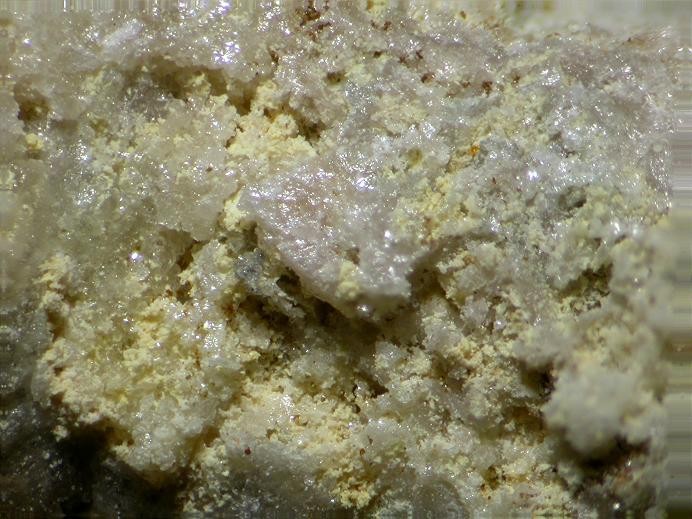 Tocornalit