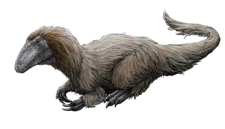 Tratayenia (Tratayenia)