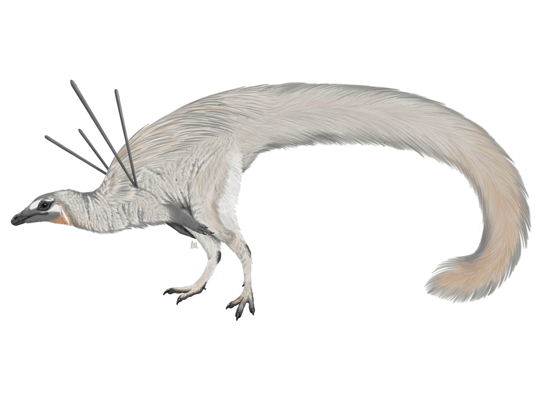 Ubirajara (Ubirajara jubatus)