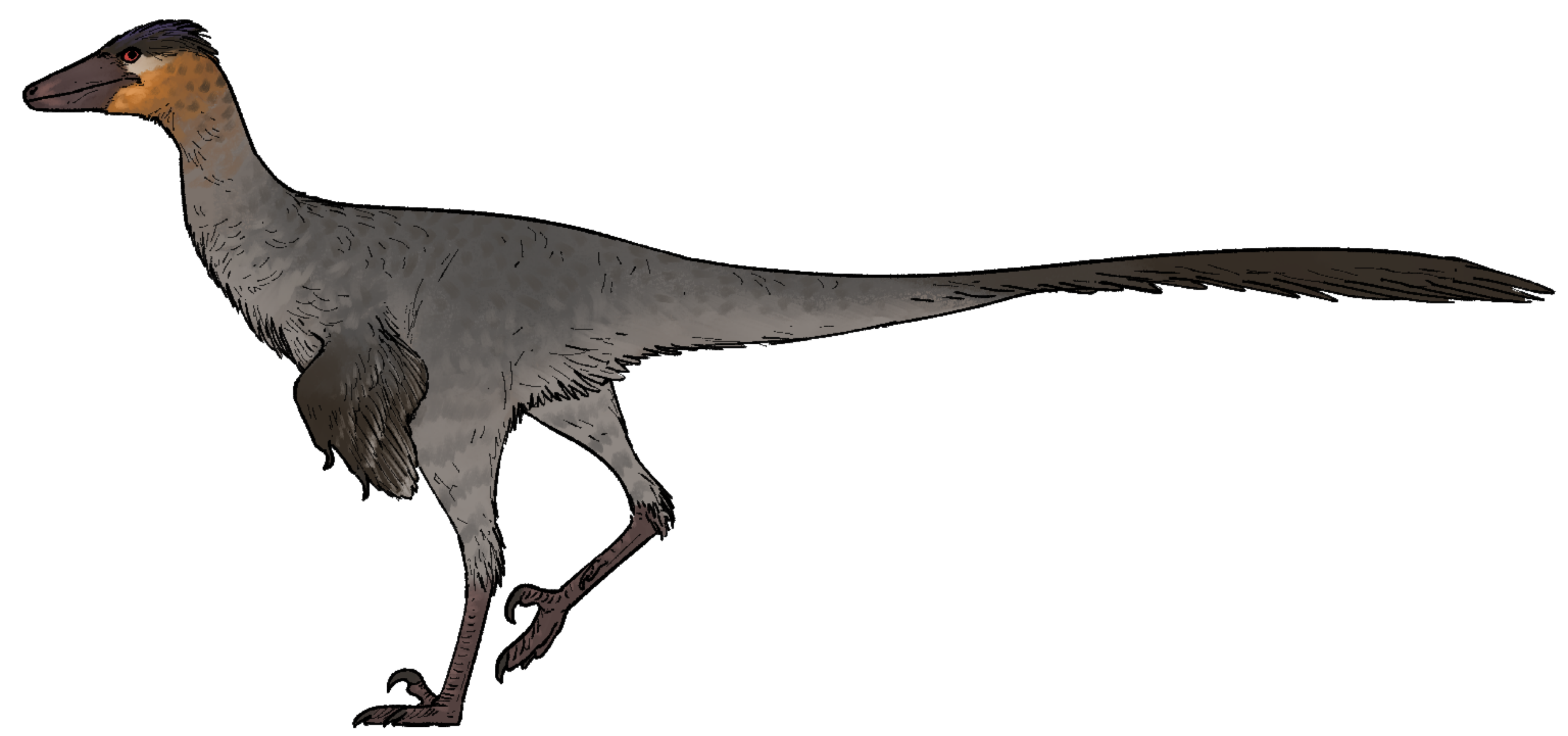 Urbacodon