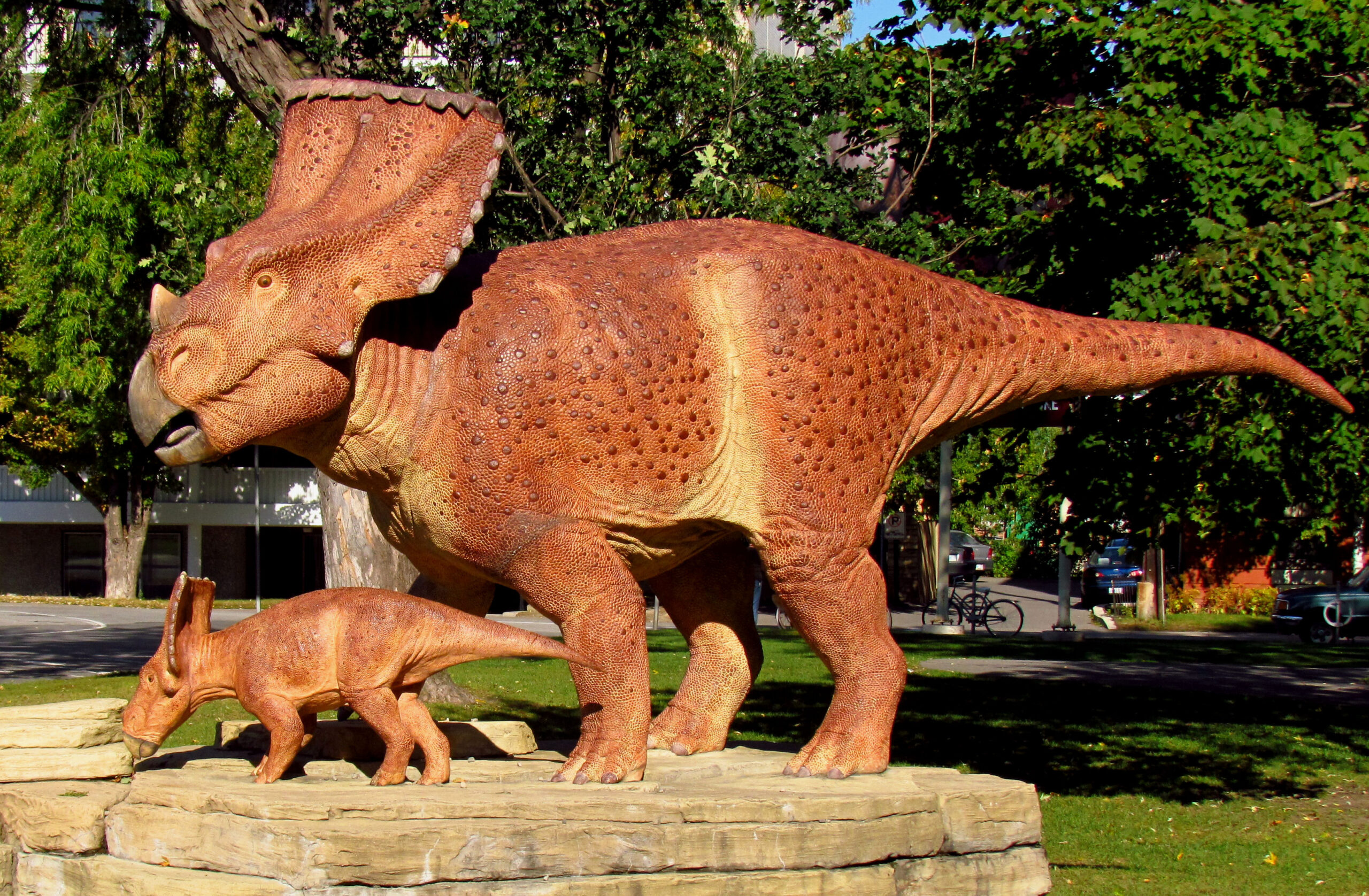 Vagaceratops
