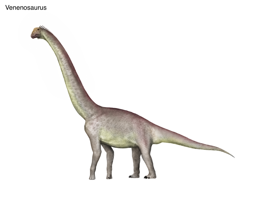 Venenosaurus
