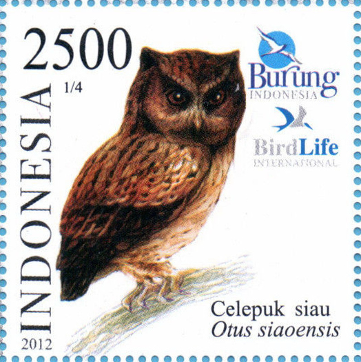 výreček siauský (Otus siaoensis)