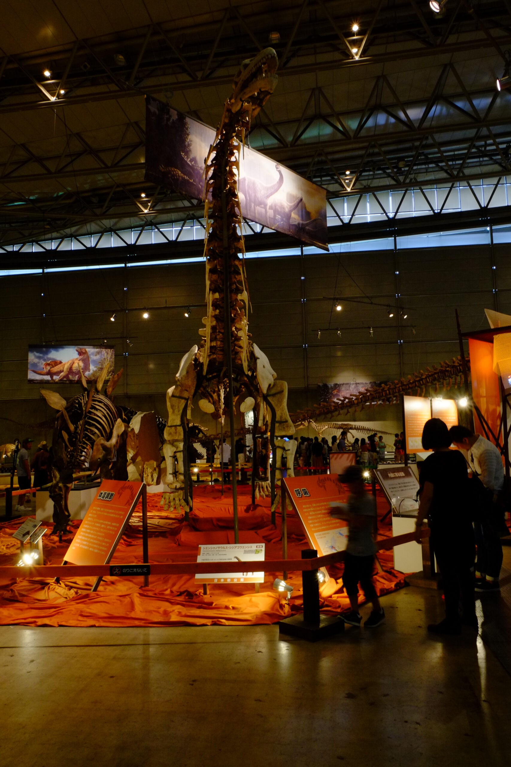 Xianshanosaurus