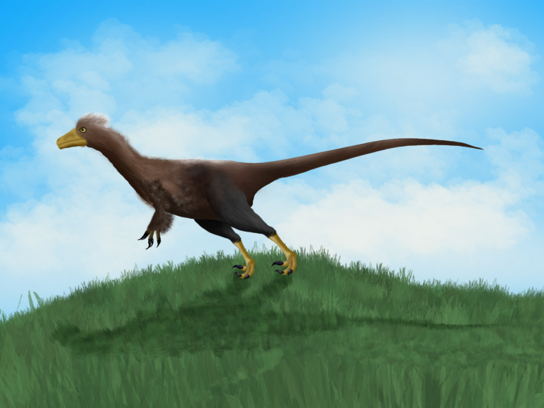 Xinjiangovenator