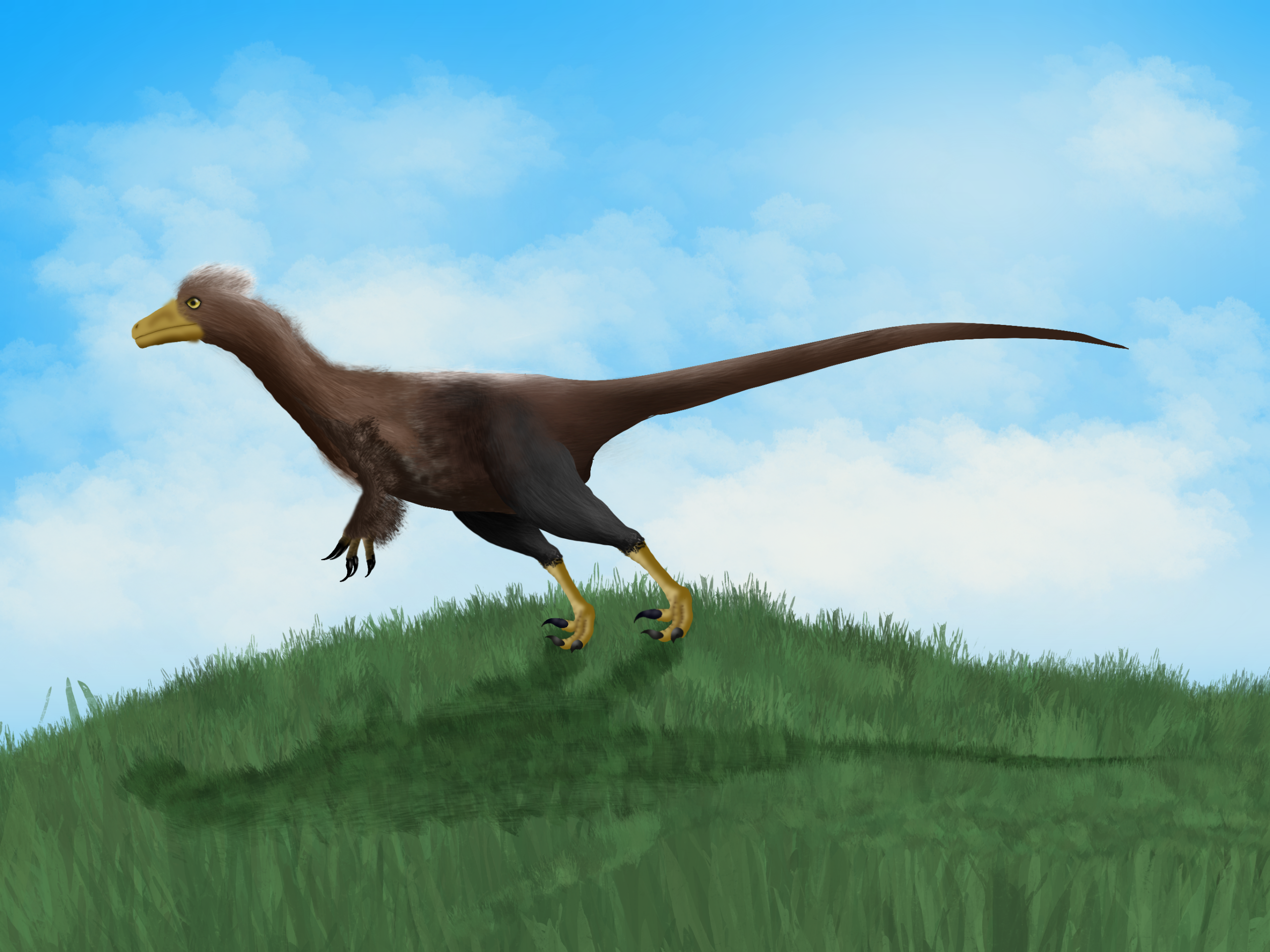 Xinjiangovenator