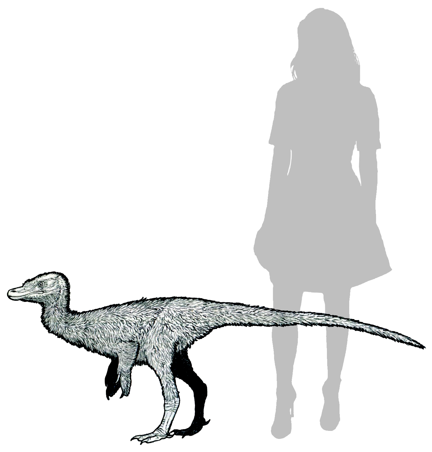 Rekonstrukce dinosaura Xiyunykus