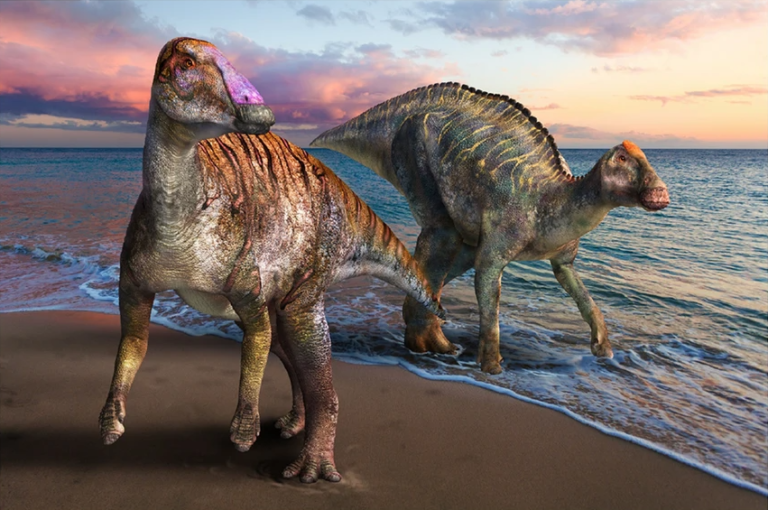 Yamatosaurus