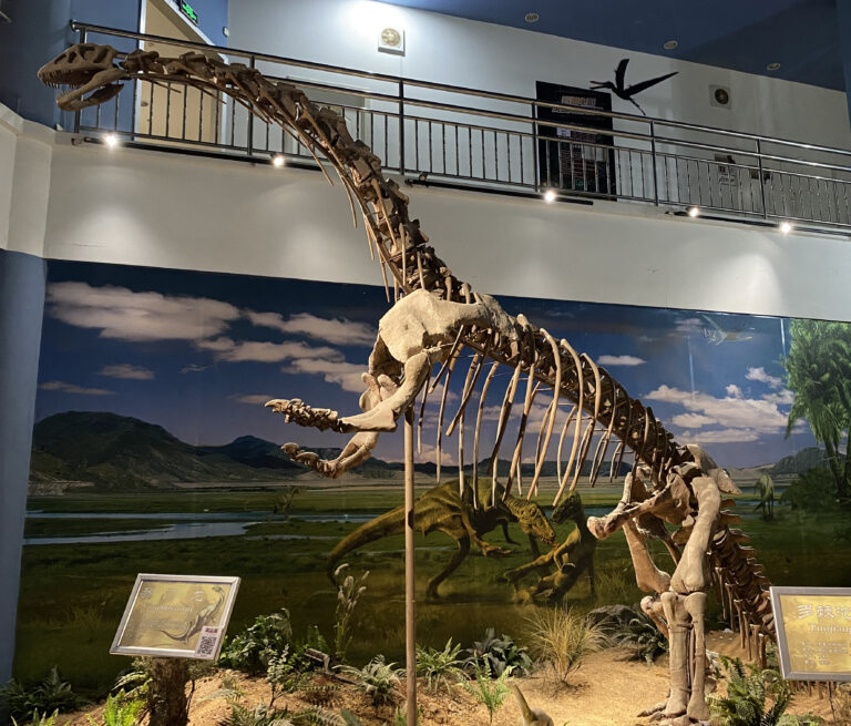 Yimenosaurus