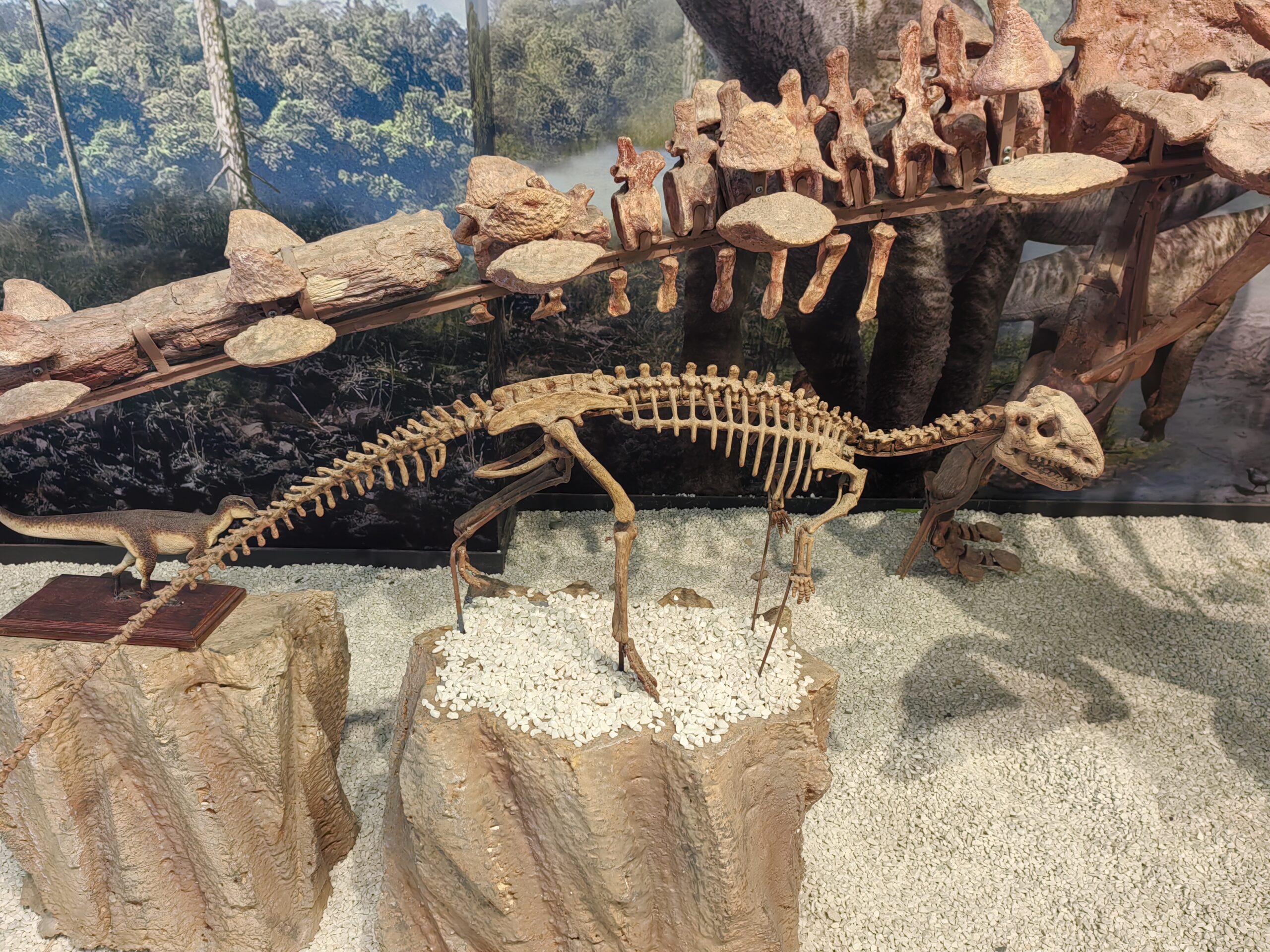 Yueosaurus