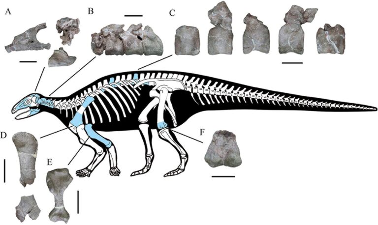 Yuxisaurus